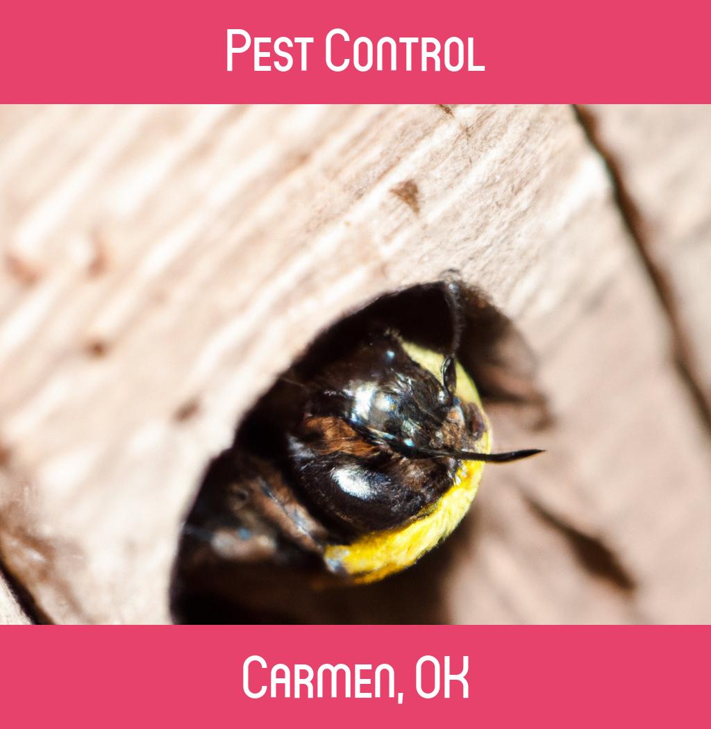 pest control in Carmen Oklahoma