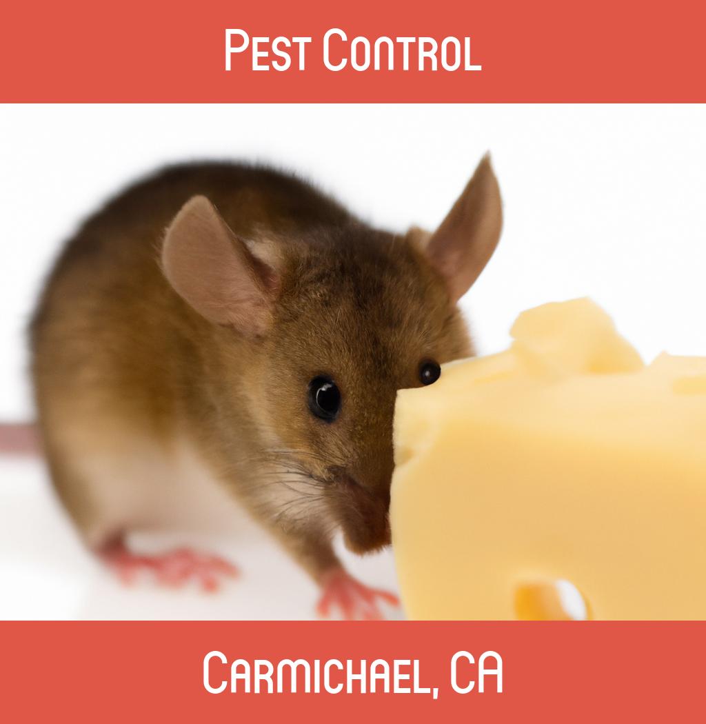 pest control in Carmichael California