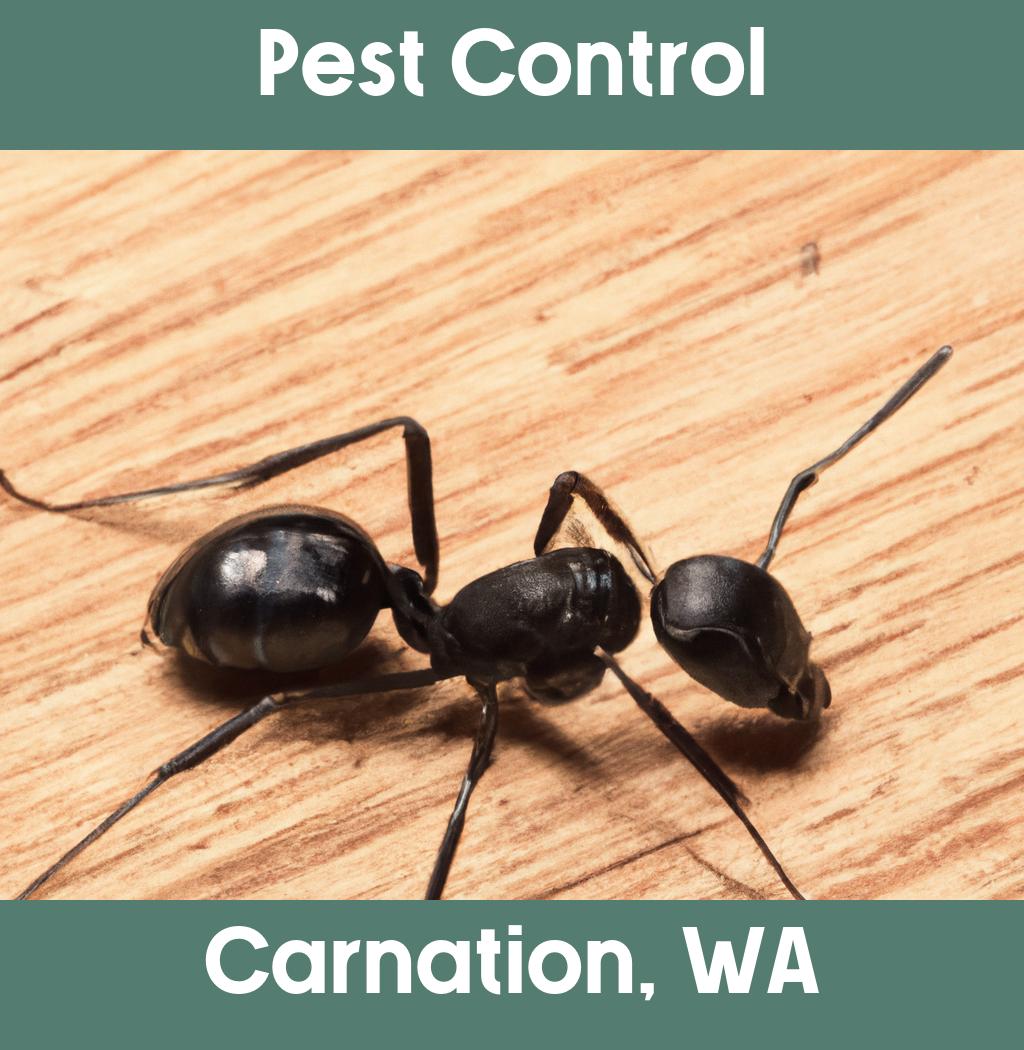 pest control in Carnation Washington
