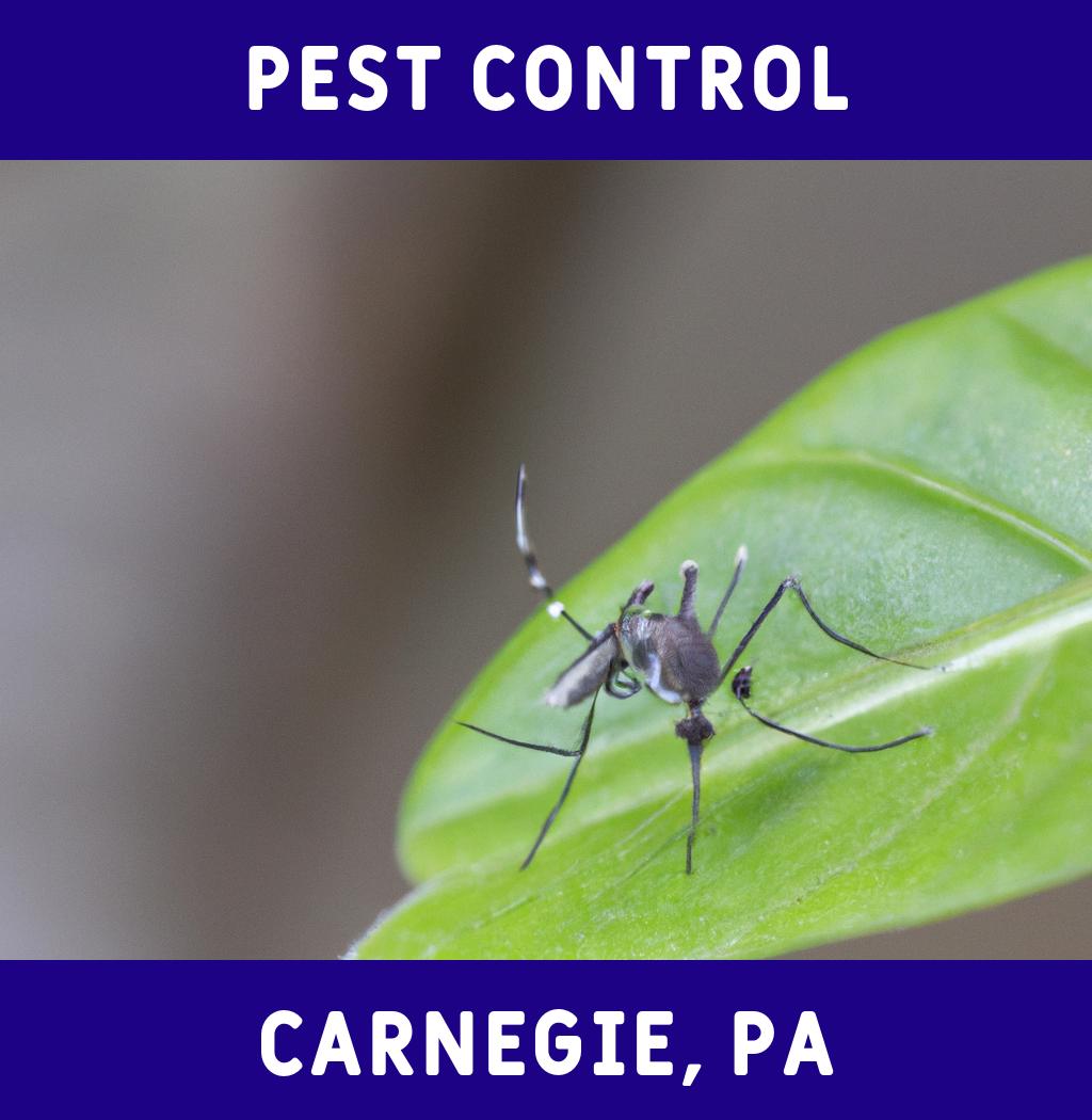pest control in Carnegie Pennsylvania