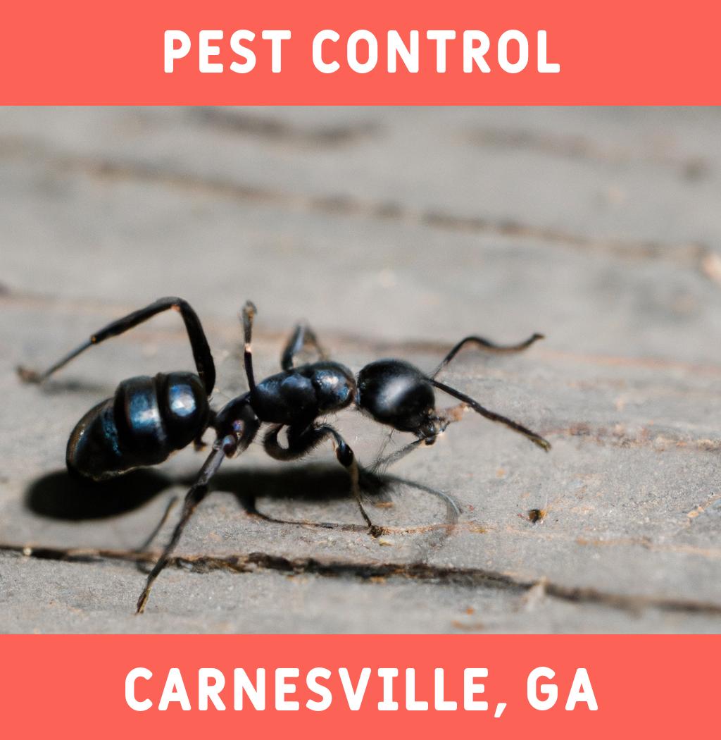 pest control in Carnesville Georgia
