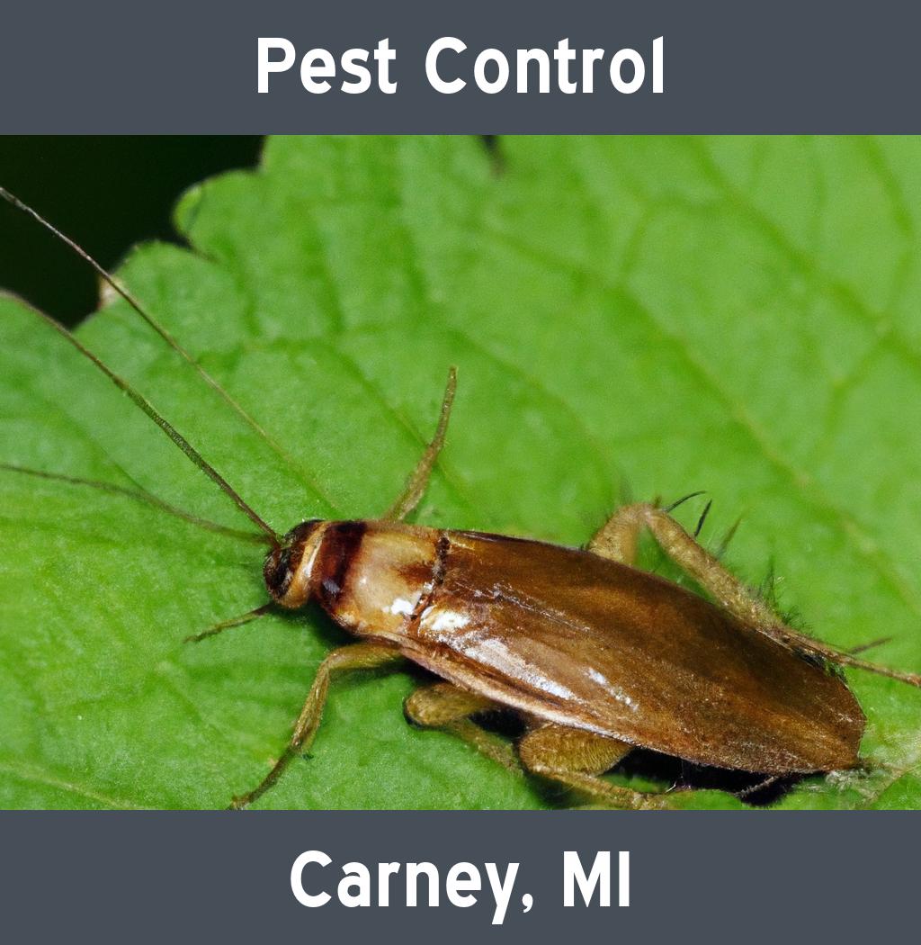 pest control in Carney Michigan