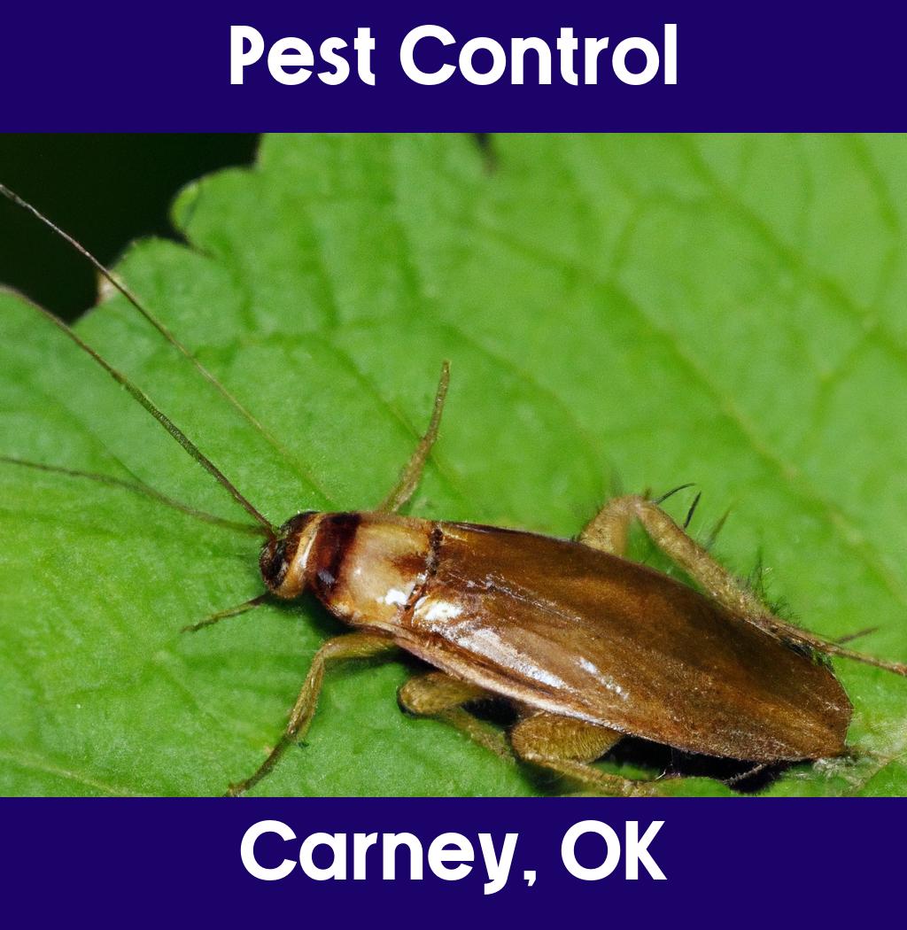 pest control in Carney Oklahoma