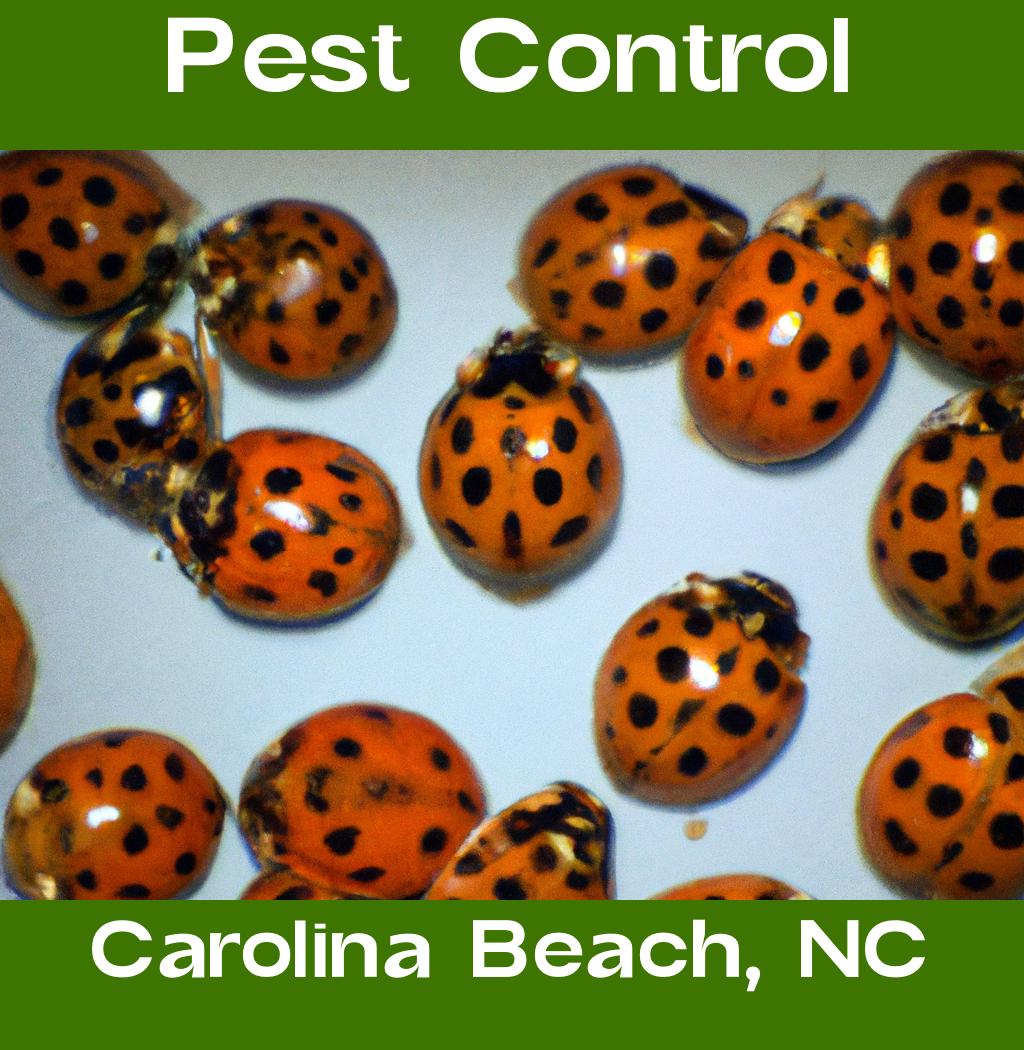pest control in Carolina Beach North Carolina
