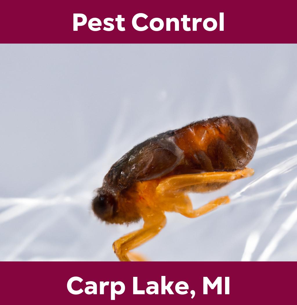 pest control in Carp Lake Michigan