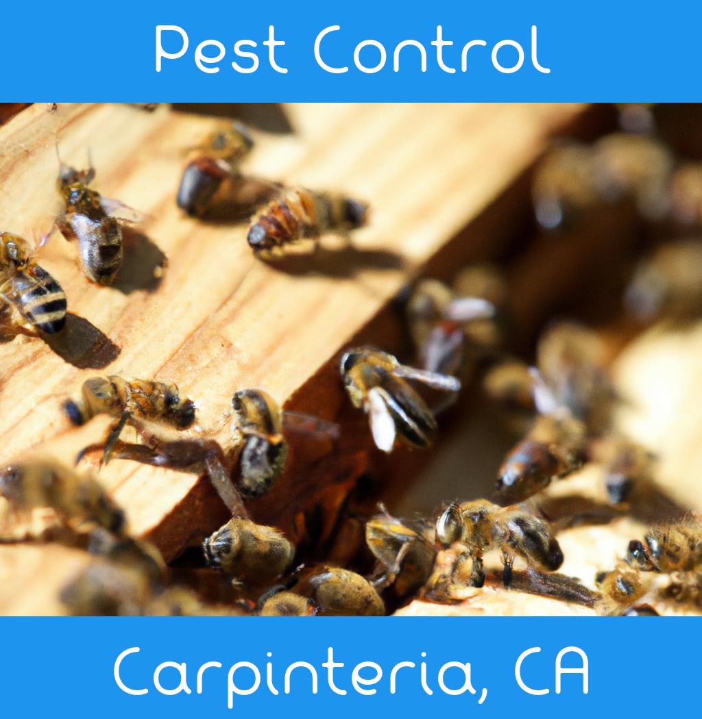pest control in Carpinteria California