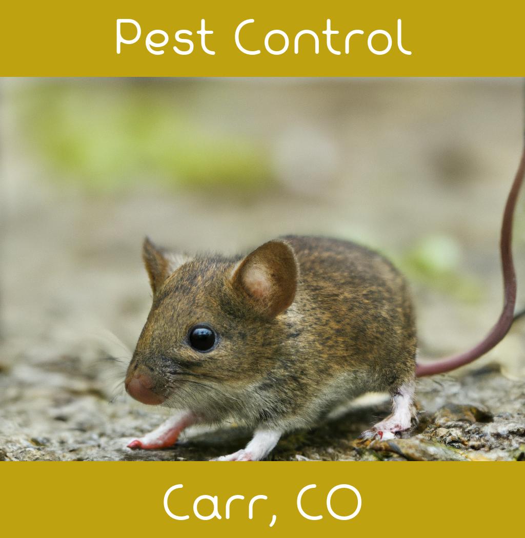 pest control in Carr Colorado