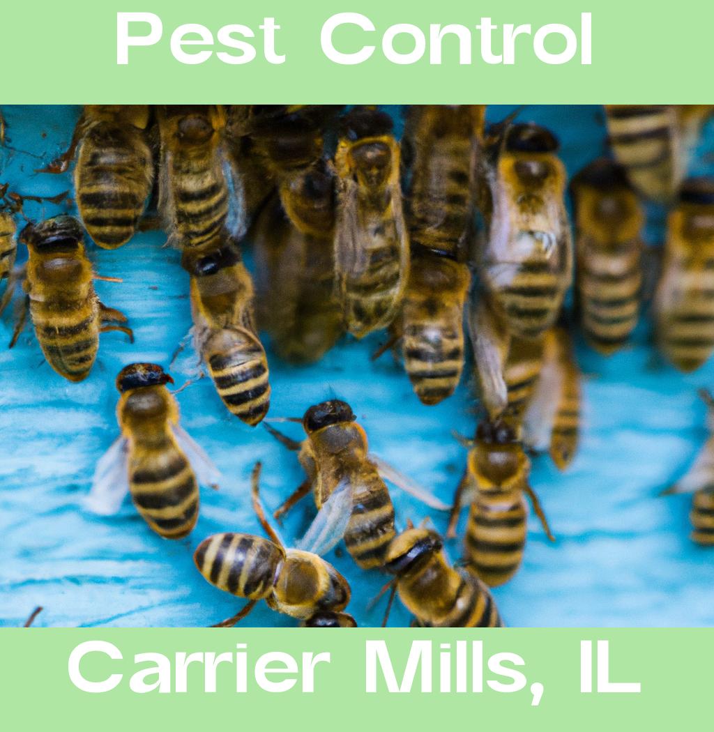 pest control in Carrier Mills Illinois