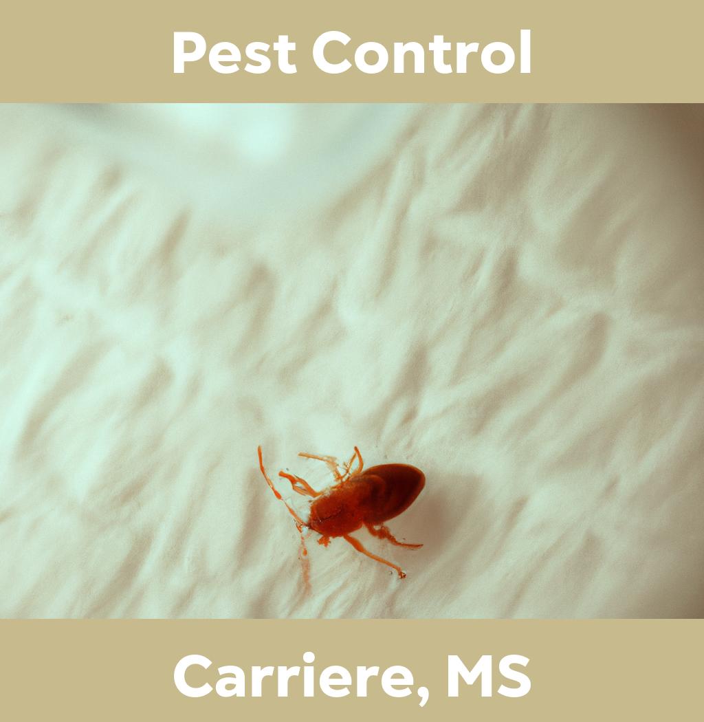 pest control in Carriere Mississippi