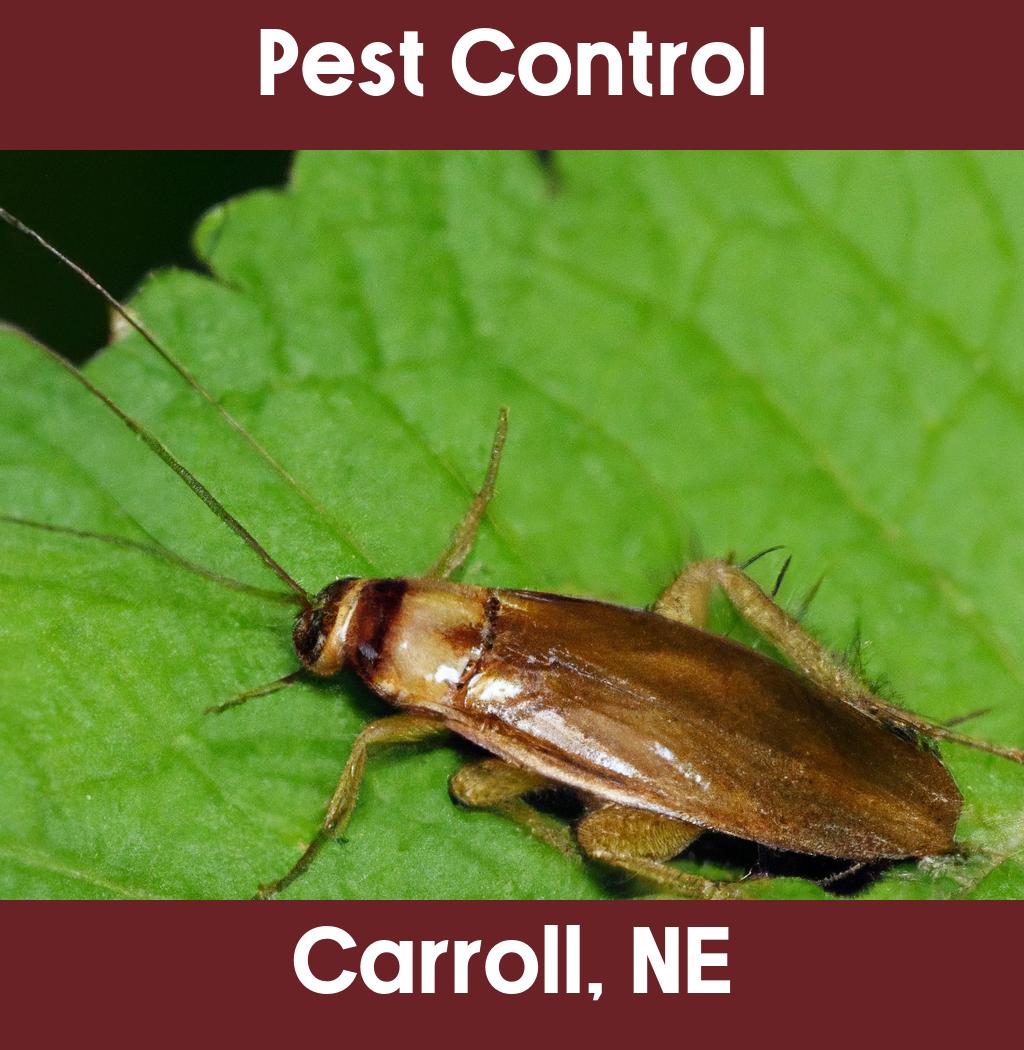 pest control in Carroll Nebraska