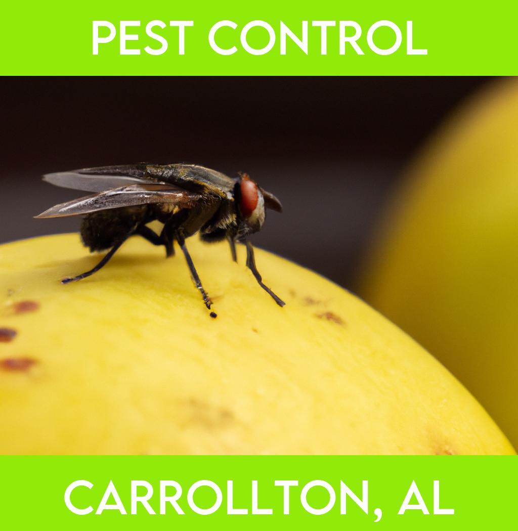 pest control in Carrollton Alabama