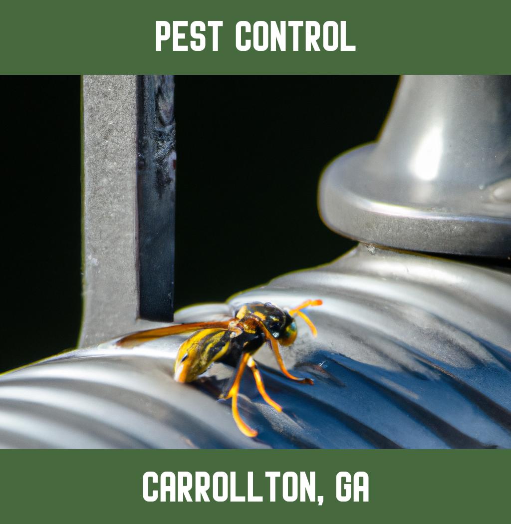 pest control in Carrollton Georgia