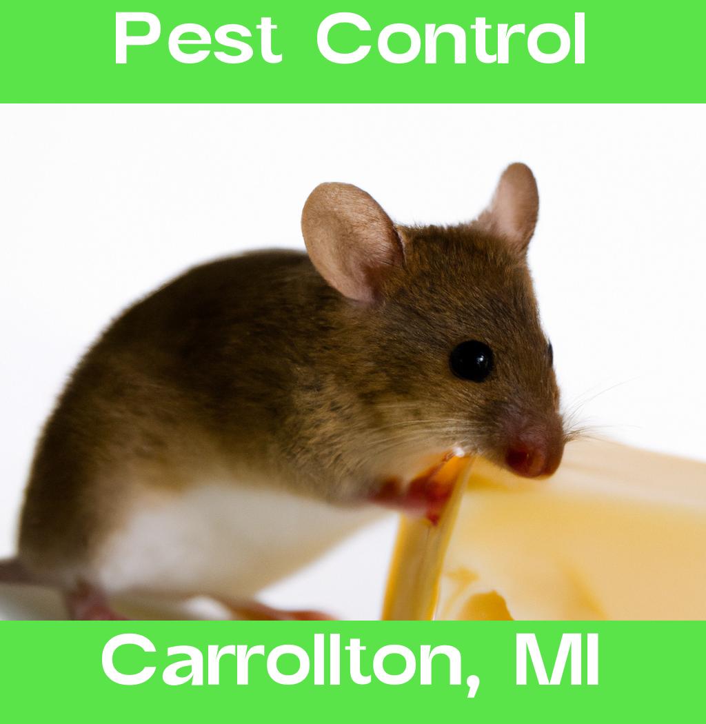 pest control in Carrollton Michigan