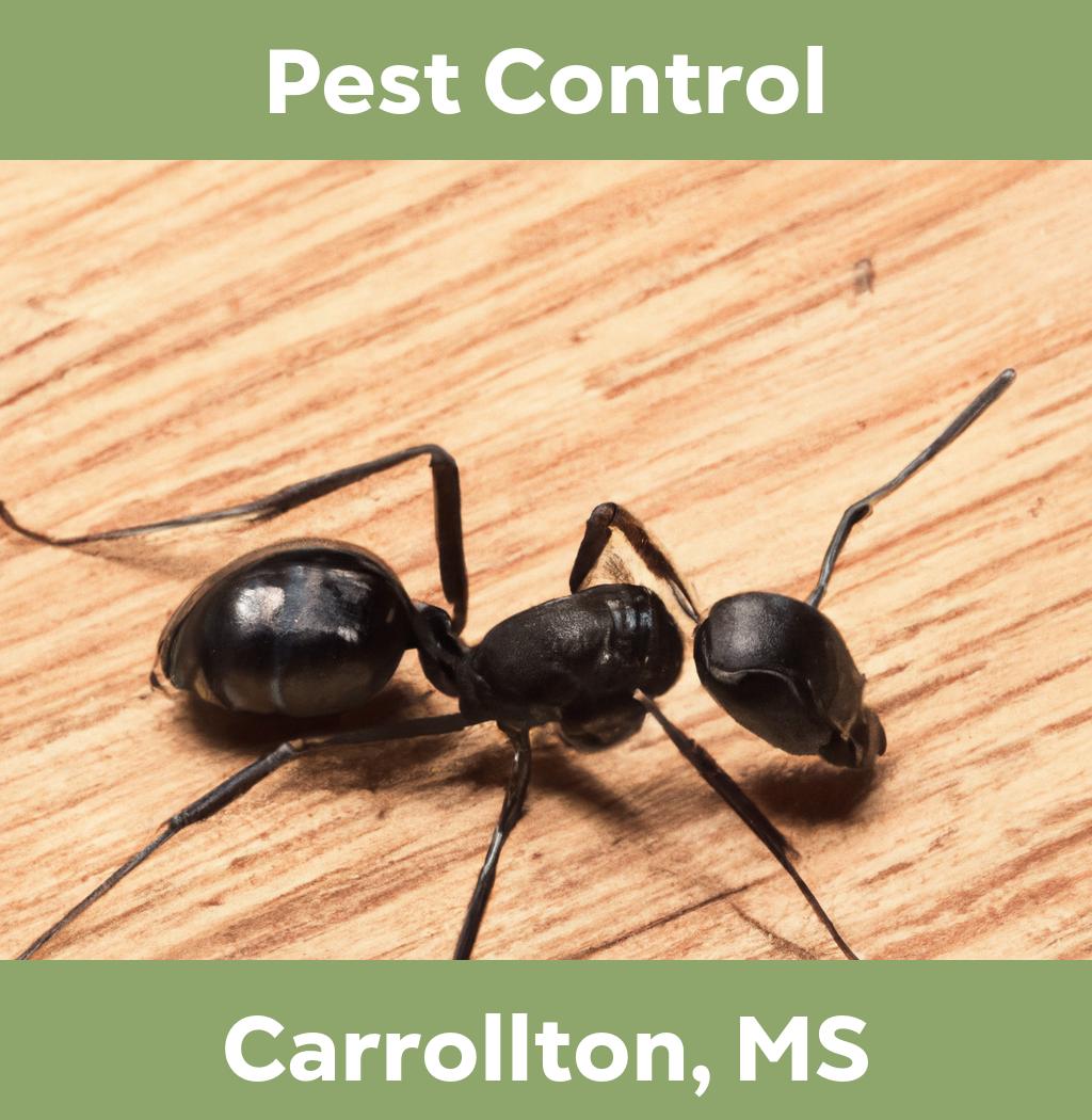 pest control in Carrollton Mississippi