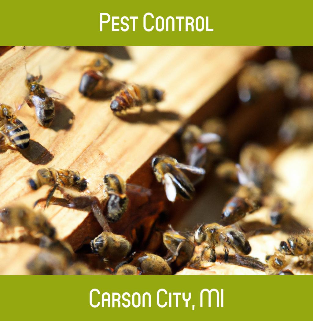 pest control in Carson City Michigan