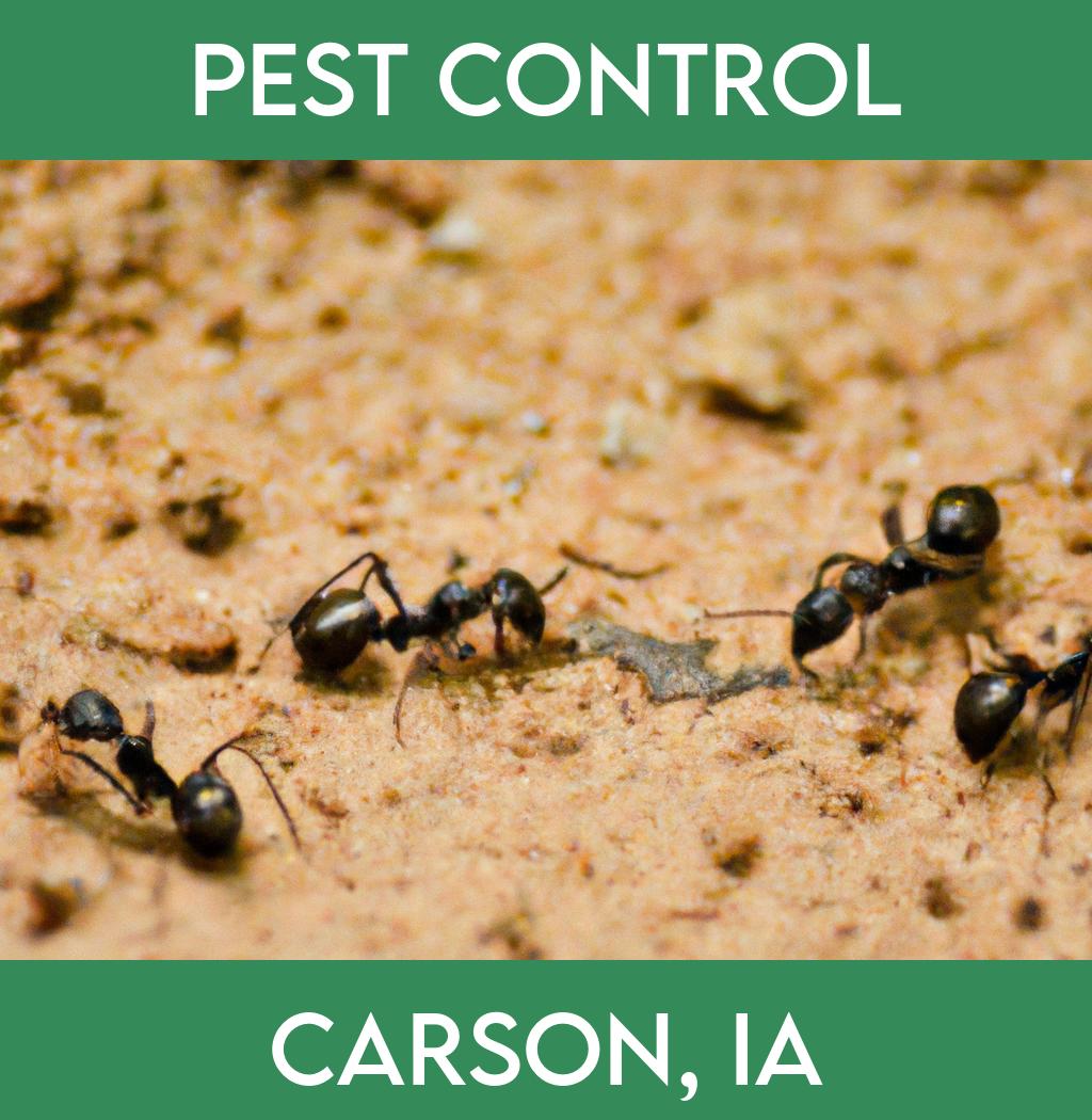 pest control in Carson Iowa