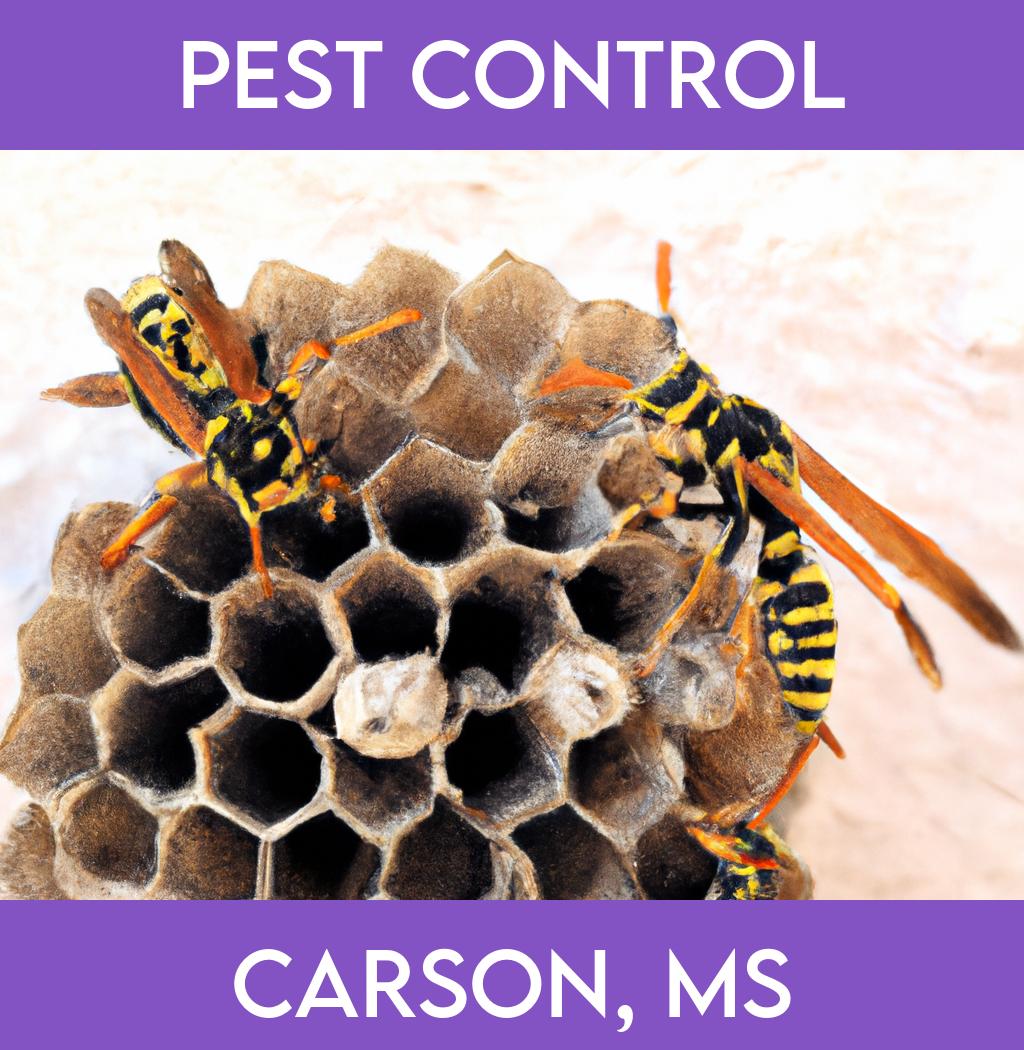 pest control in Carson Mississippi