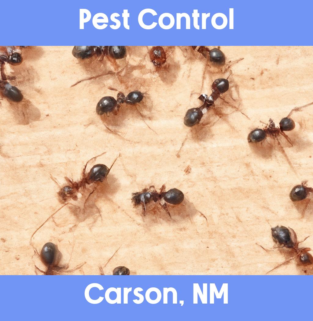 pest control in Carson New Mexico