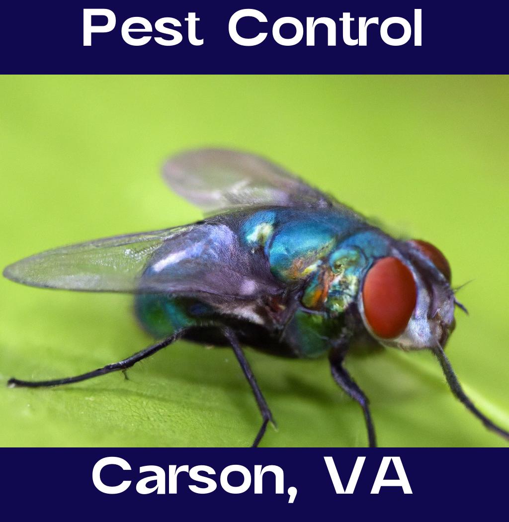 pest control in Carson Virginia