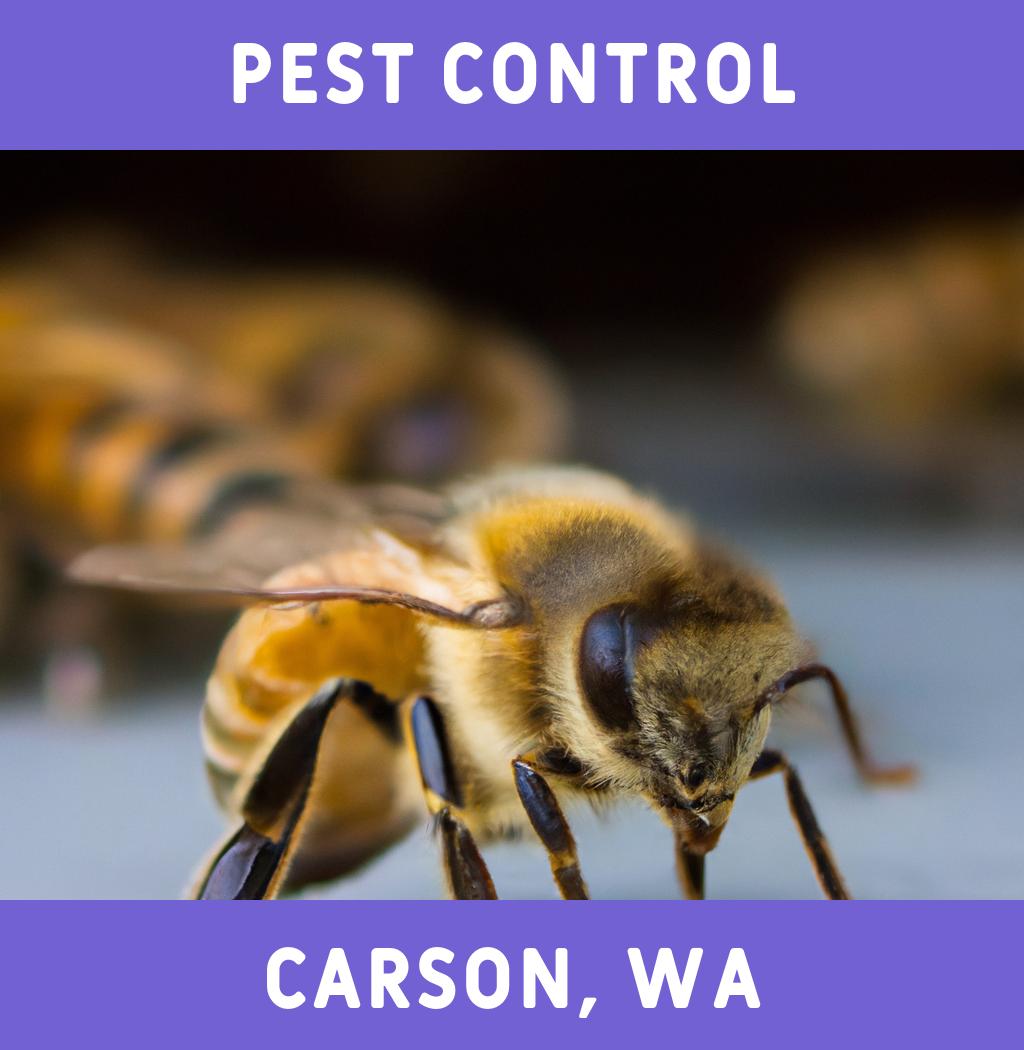 pest control in Carson Washington
