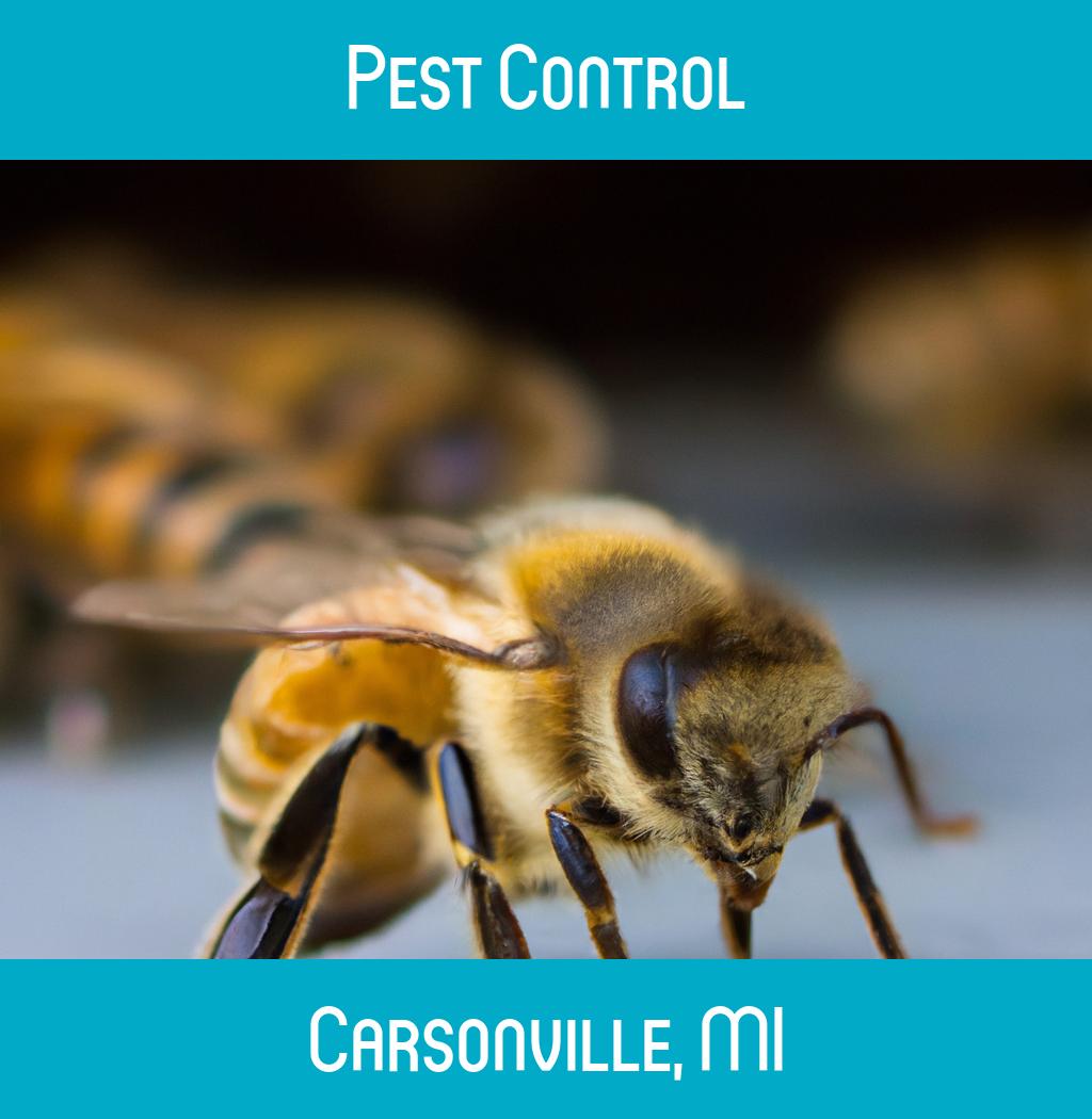 pest control in Carsonville Michigan