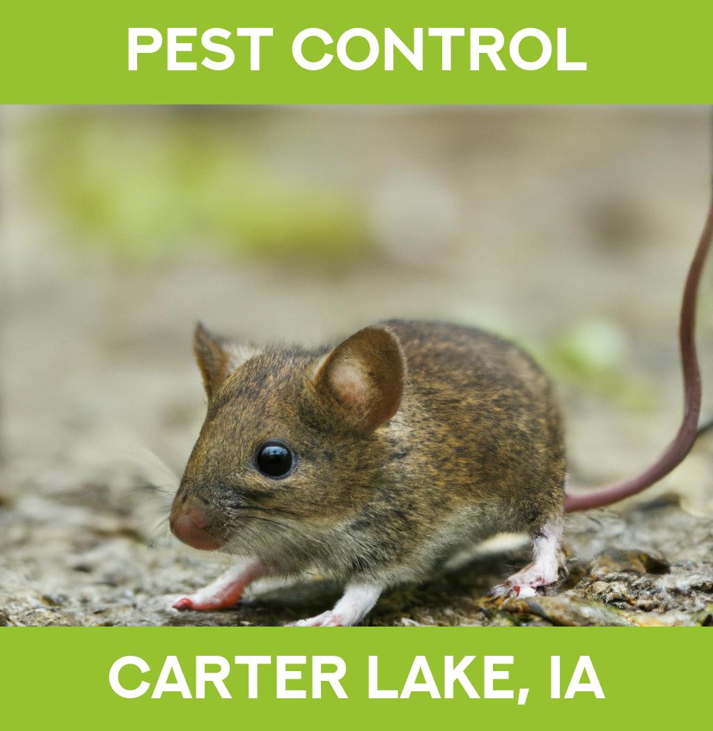 pest control in Carter Lake Iowa