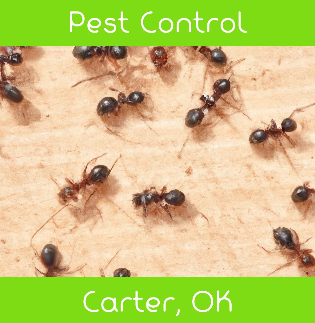 pest control in Carter Oklahoma