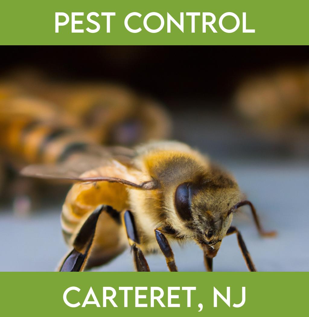 pest control in Carteret New Jersey