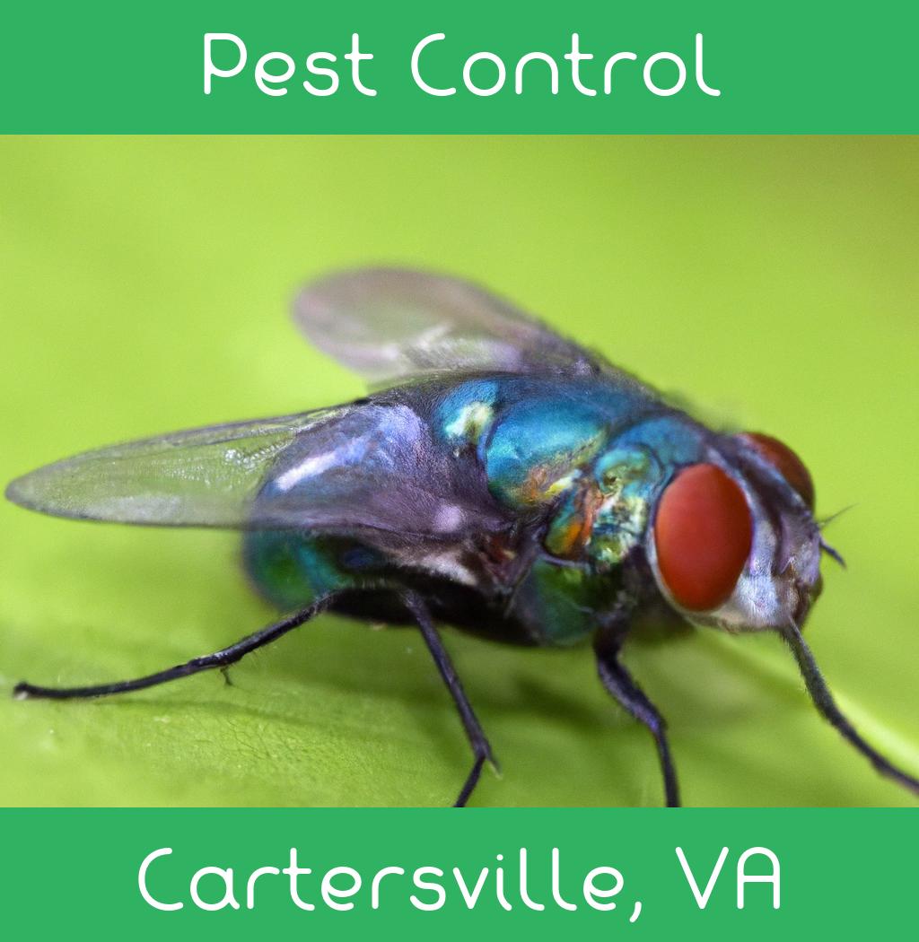 pest control in Cartersville Virginia