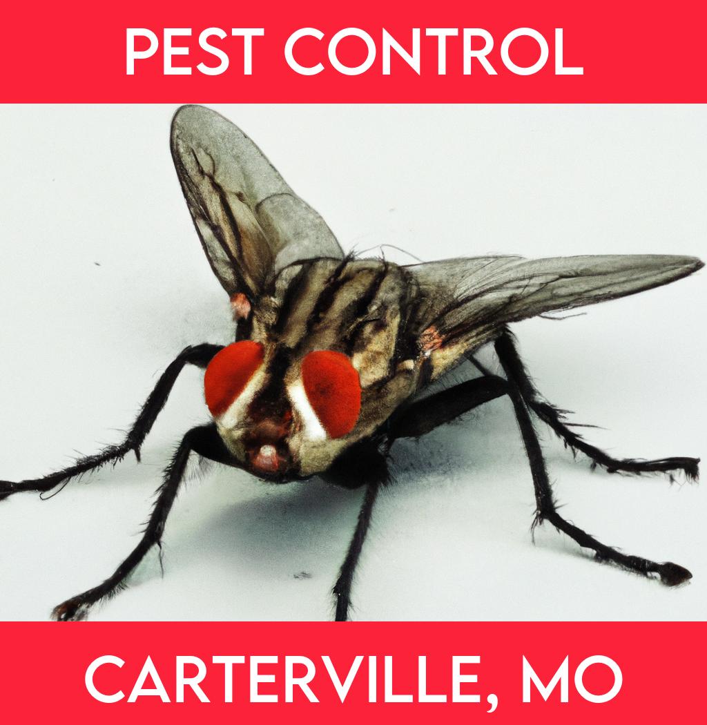 pest control in Carterville Missouri