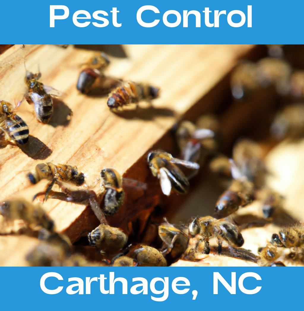 pest control in Carthage North Carolina