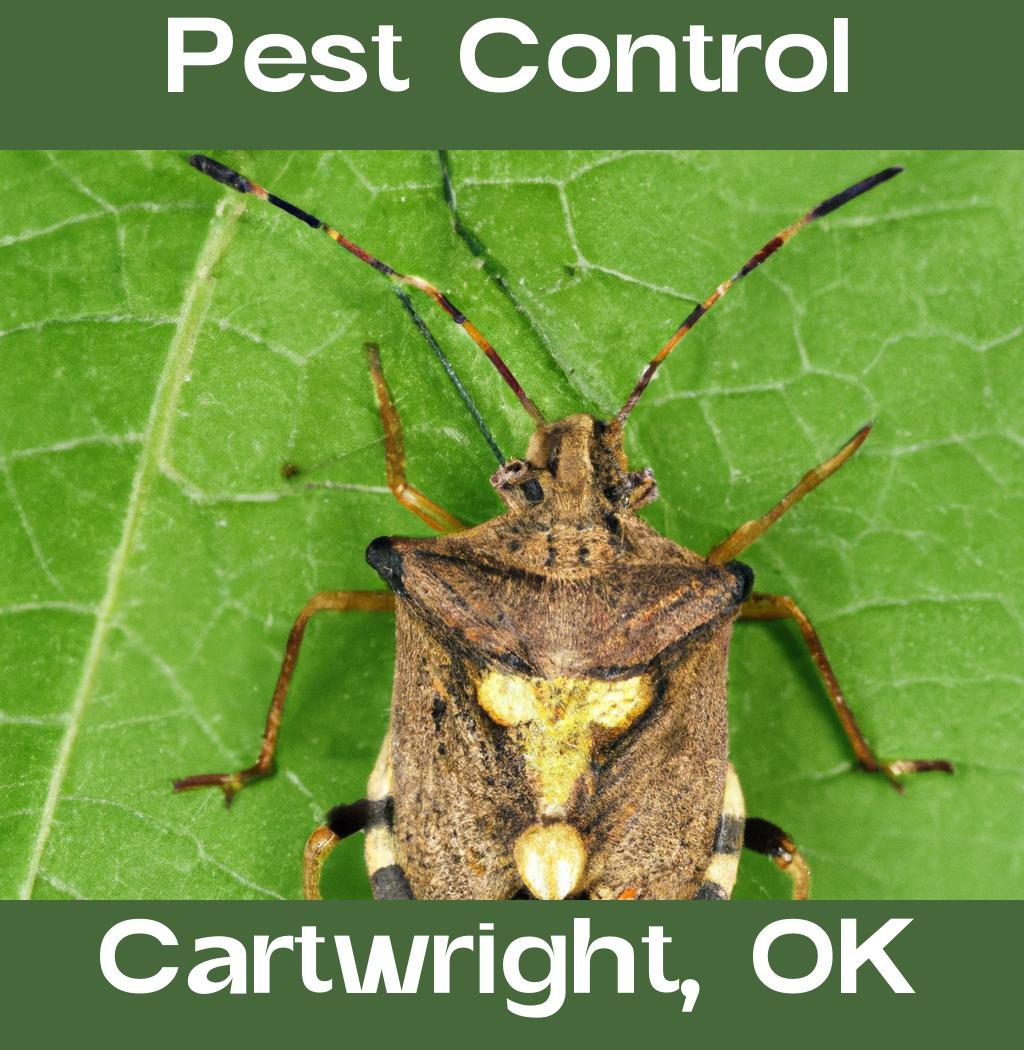 pest control in Cartwright Oklahoma