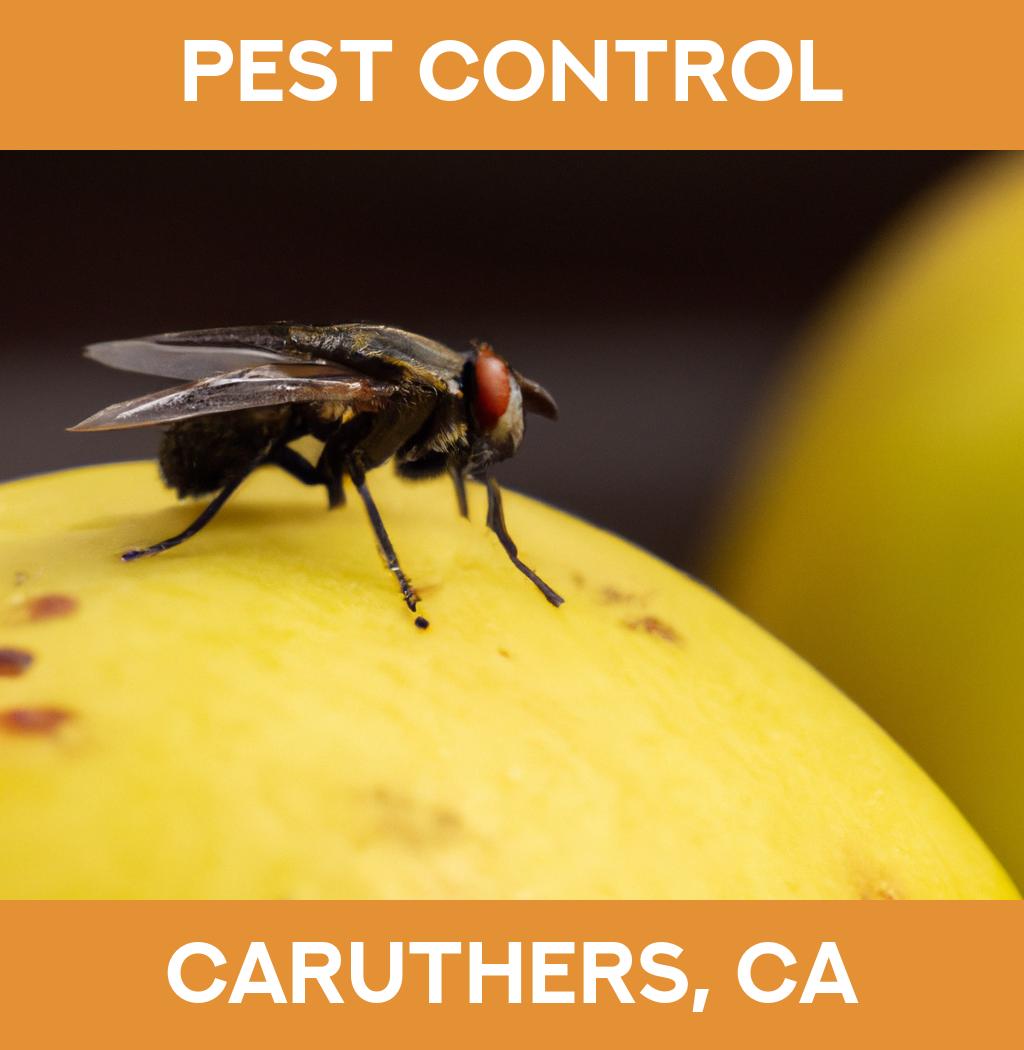 pest control in Caruthers California