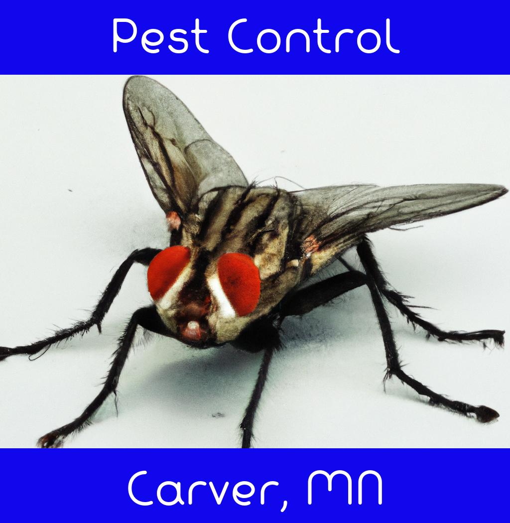 pest control in Carver Minnesota
