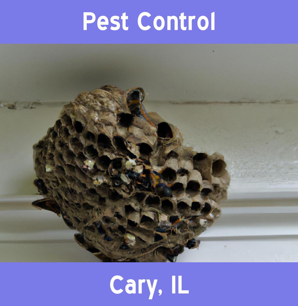 pest control in Cary Illinois