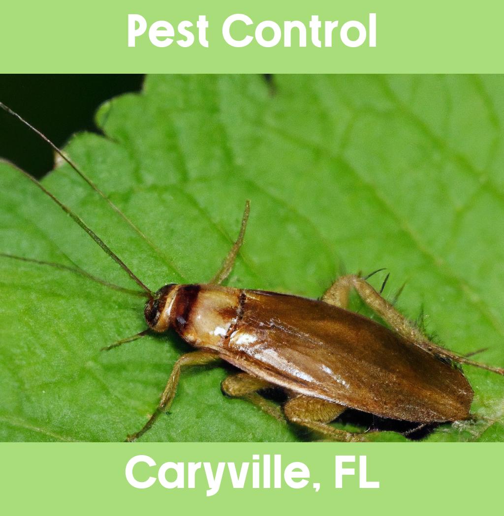 pest control in Caryville Florida