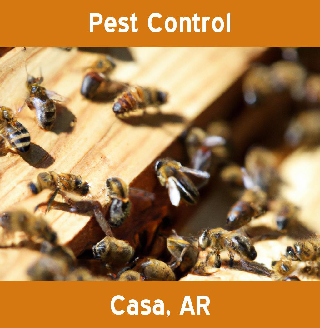 pest control in Casa Arkansas
