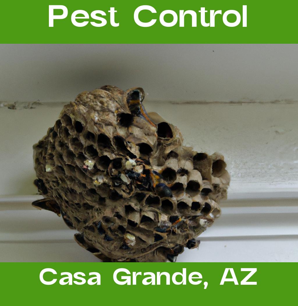 pest control in Casa Grande Arizona