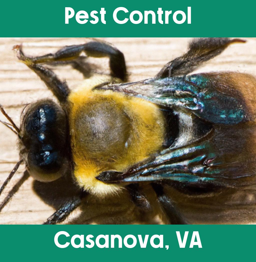 pest control in Casanova Virginia