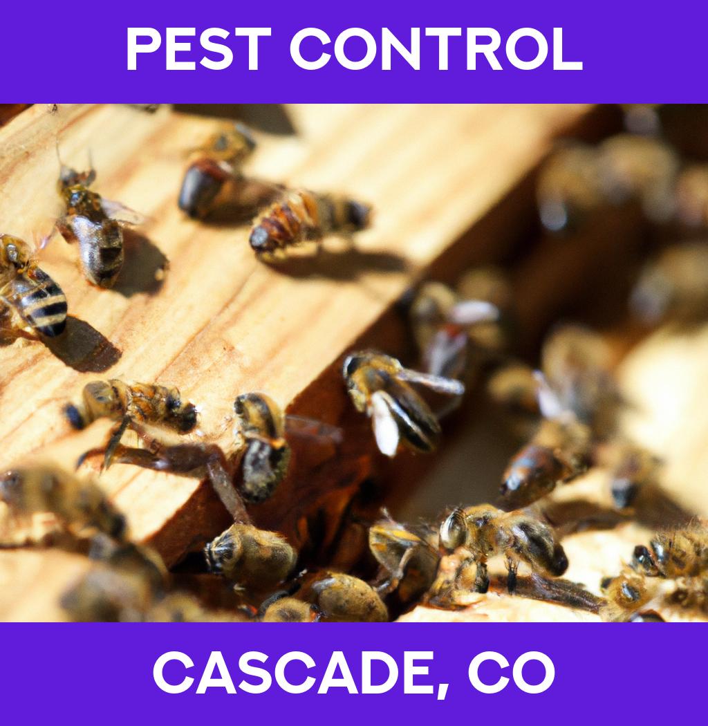 pest control in Cascade Colorado
