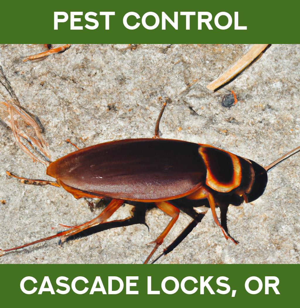pest control in Cascade Locks Oregon