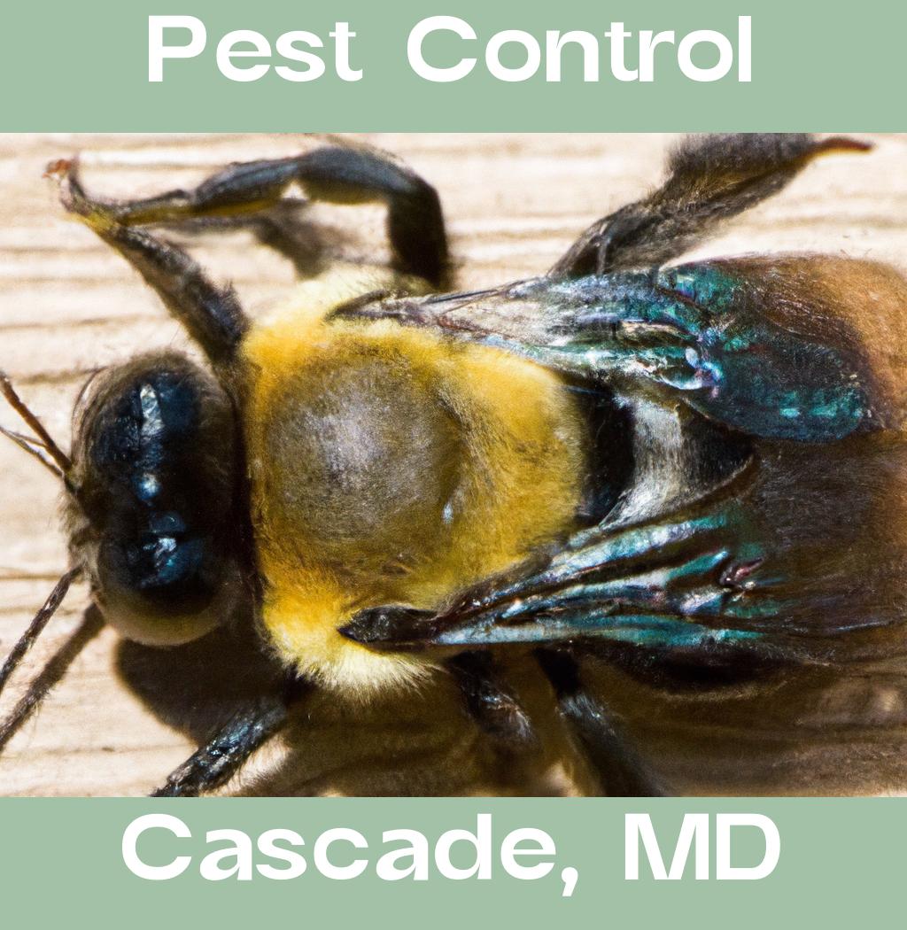 pest control in Cascade Maryland