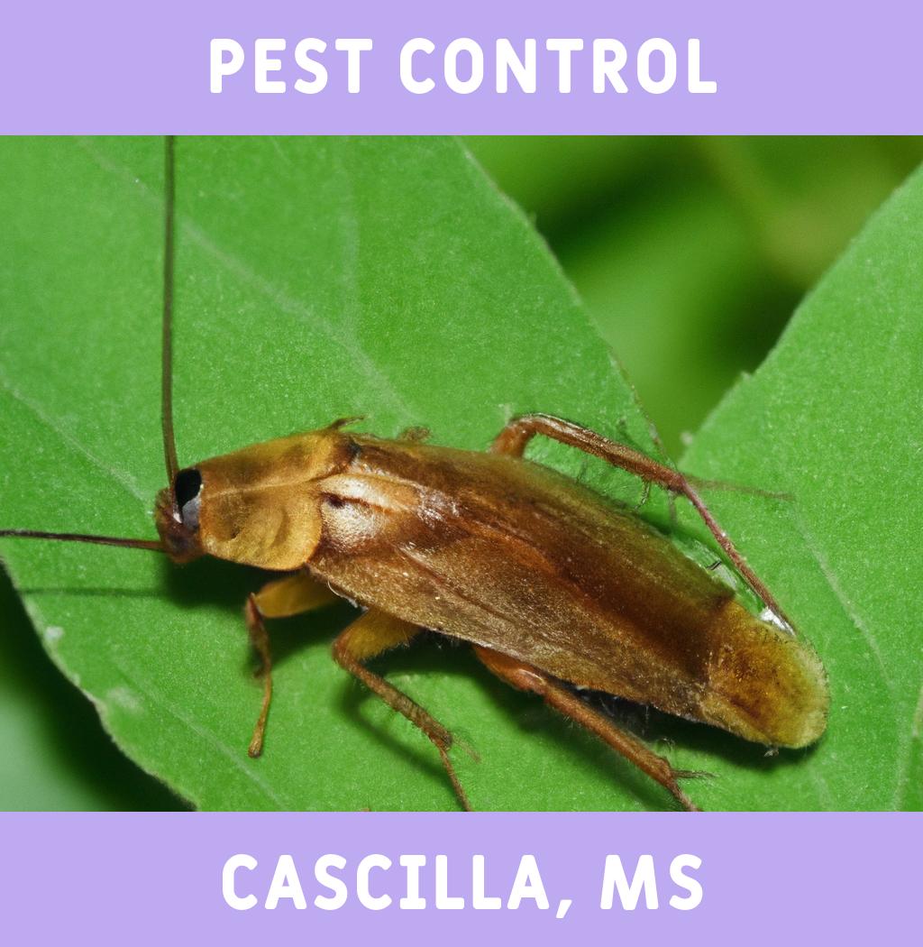 pest control in Cascilla Mississippi