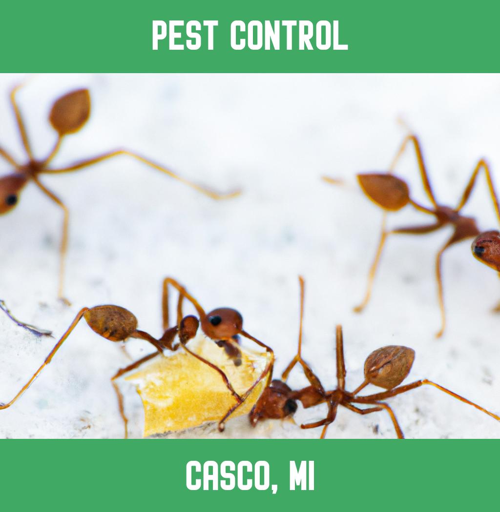 pest control in Casco Michigan