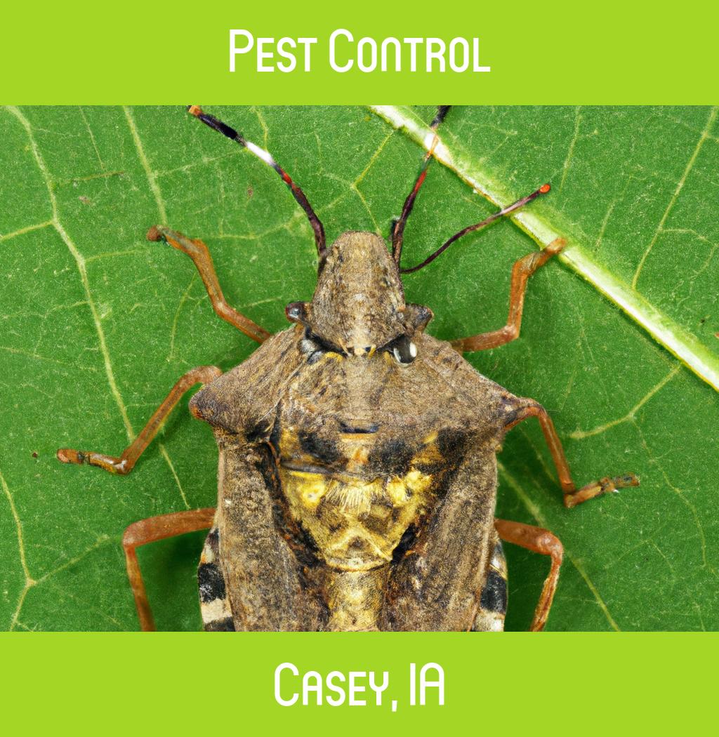 pest control in Casey Iowa