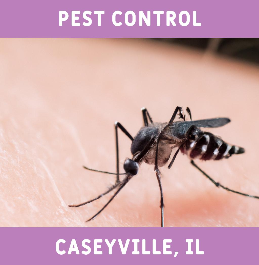 pest control in Caseyville Illinois