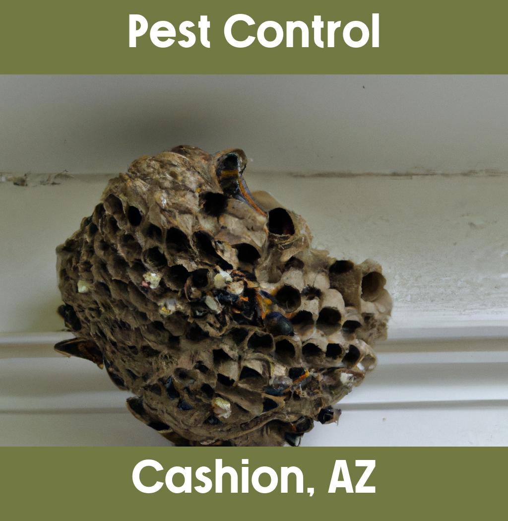 pest control in Cashion Arizona