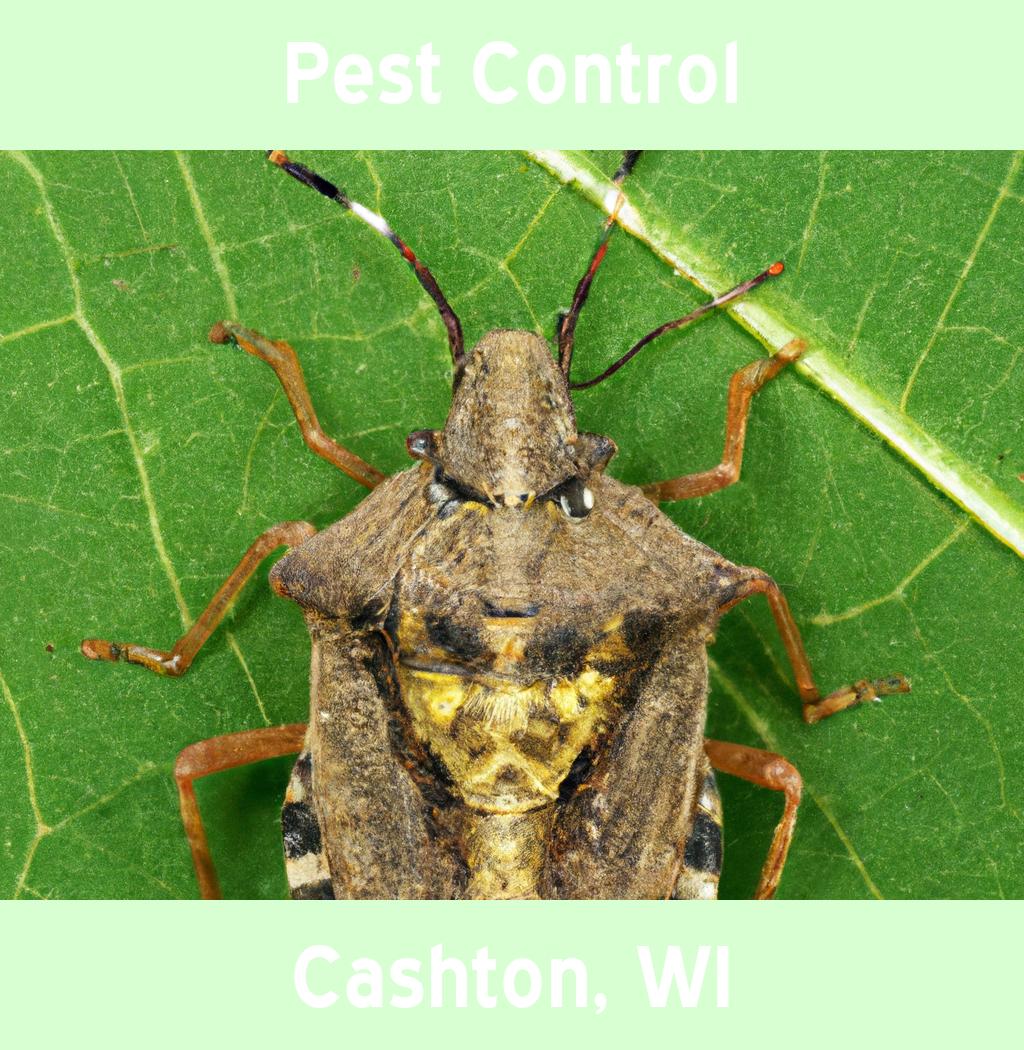 pest control in Cashton Wisconsin