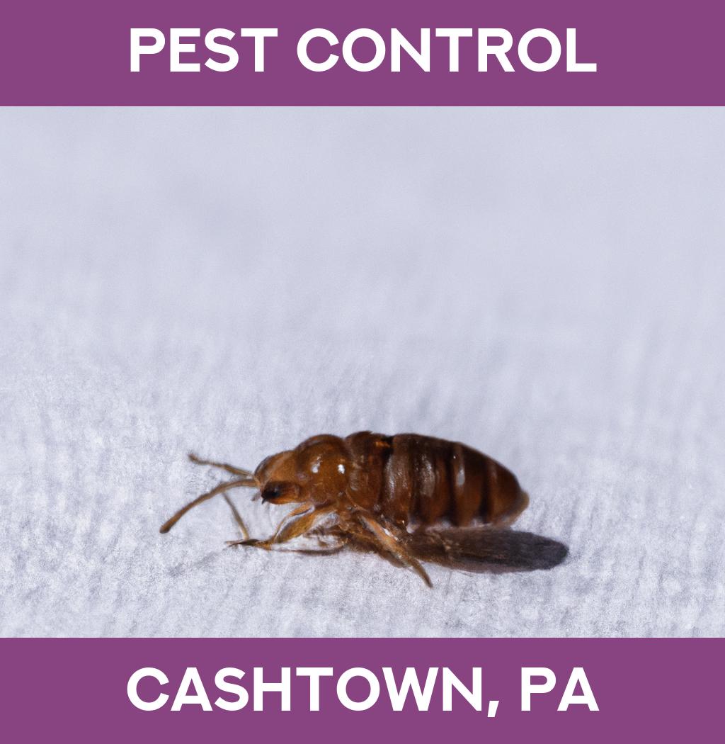 pest control in Cashtown Pennsylvania