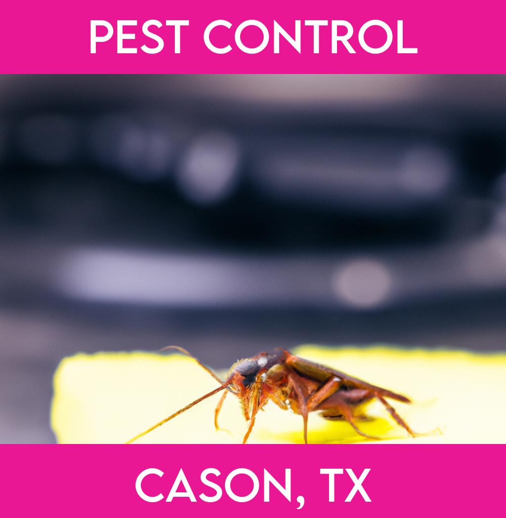 pest control in Cason Texas